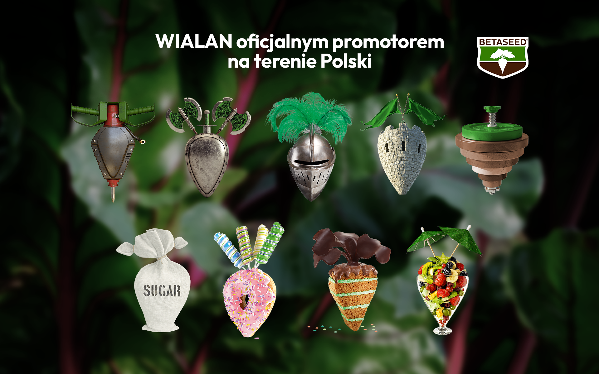 s a o r i n✩.*˚ Nasiona buraka cukrowego BETASEED - WIALAN