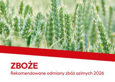 Zboże 2026