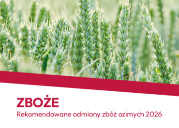 Zboże 2026