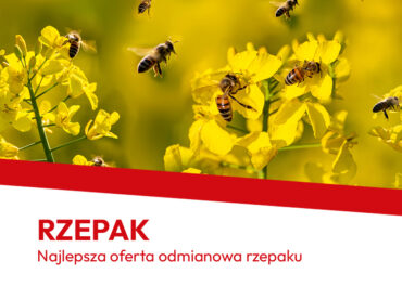 RZEPAK 2026